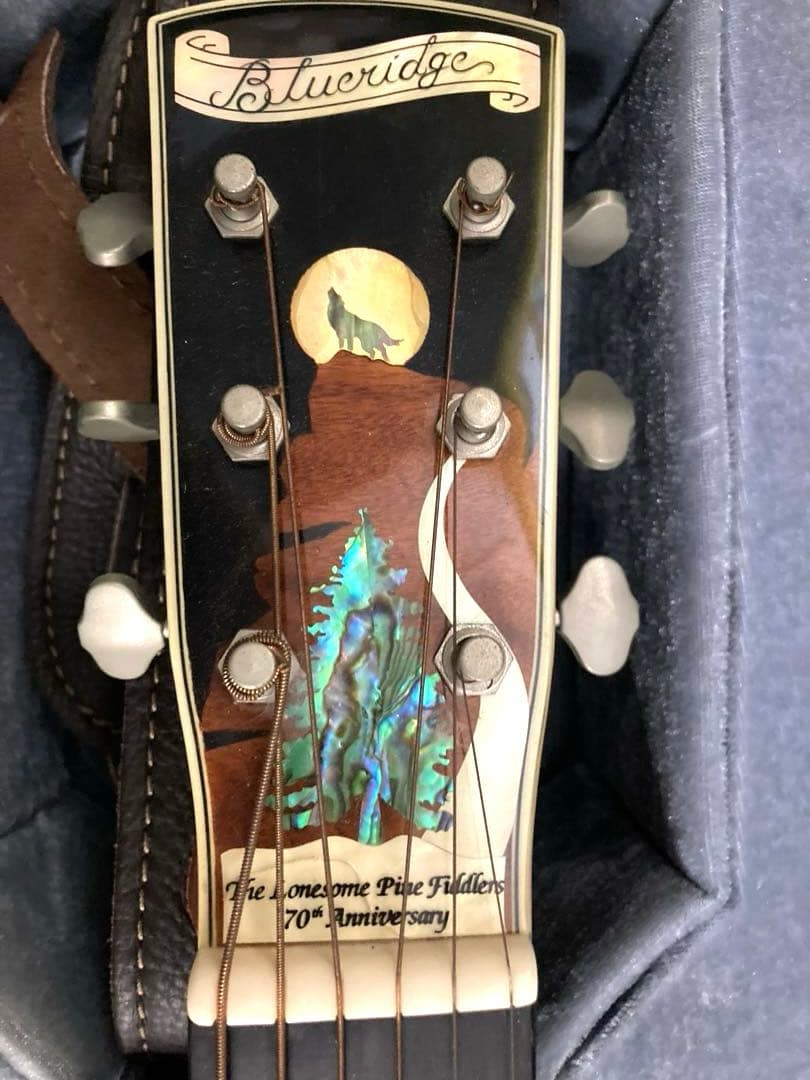 超レア、ヴィンテージギター ブルーリッジの限定モデル「BR-2060」価値