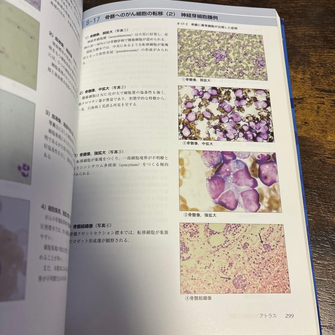 ビジュアル臨床血液形態学 - メルカリ