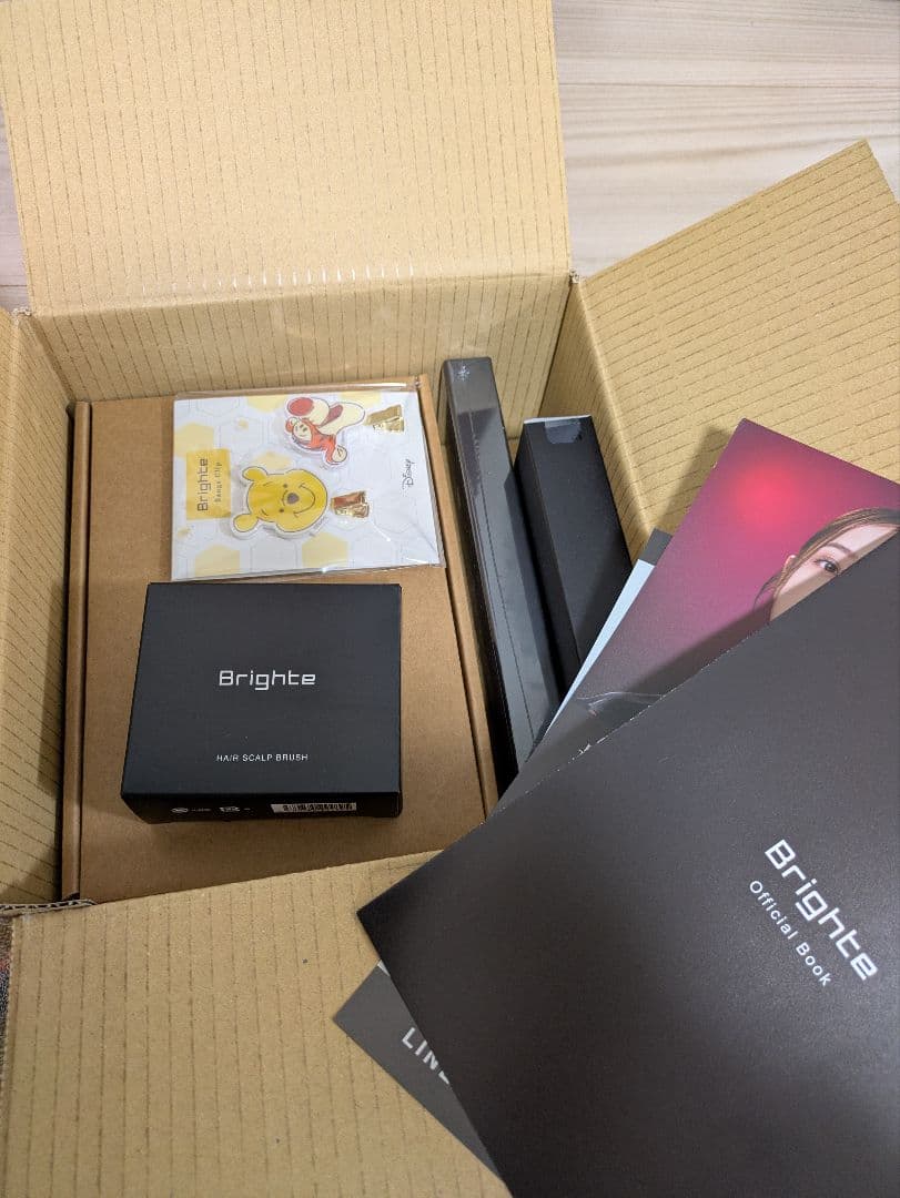 くまのプーさんデザイン エレキブラシ 限定 ハニーオレンジ 未開封