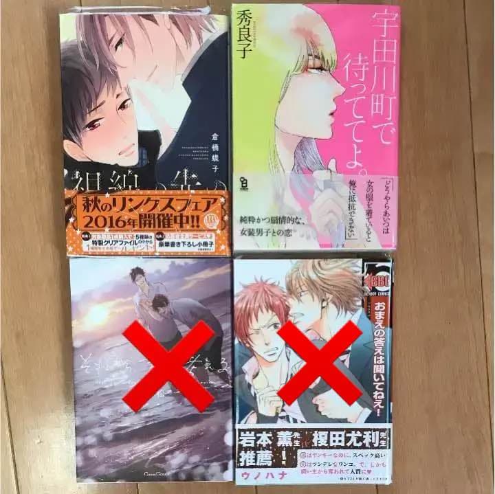 BL 思い違いが恋の種☆夜越す犬、めくる夜1 他
