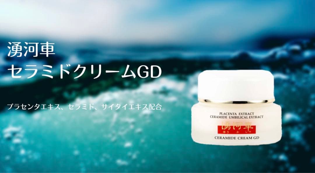 アロエベラ 化粧品 クレンジングフォーム クレンジングローション 化粧