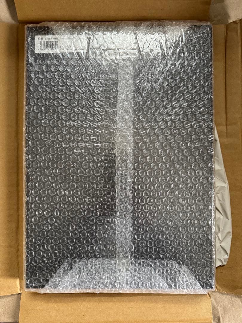 杉菜水姫 スギナミキ 画集 