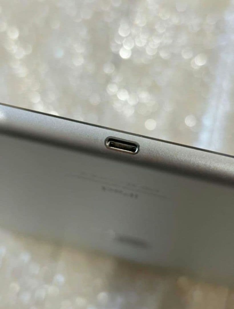 【Luffy】【美品】iPad Pro 第1世代 12.9inch