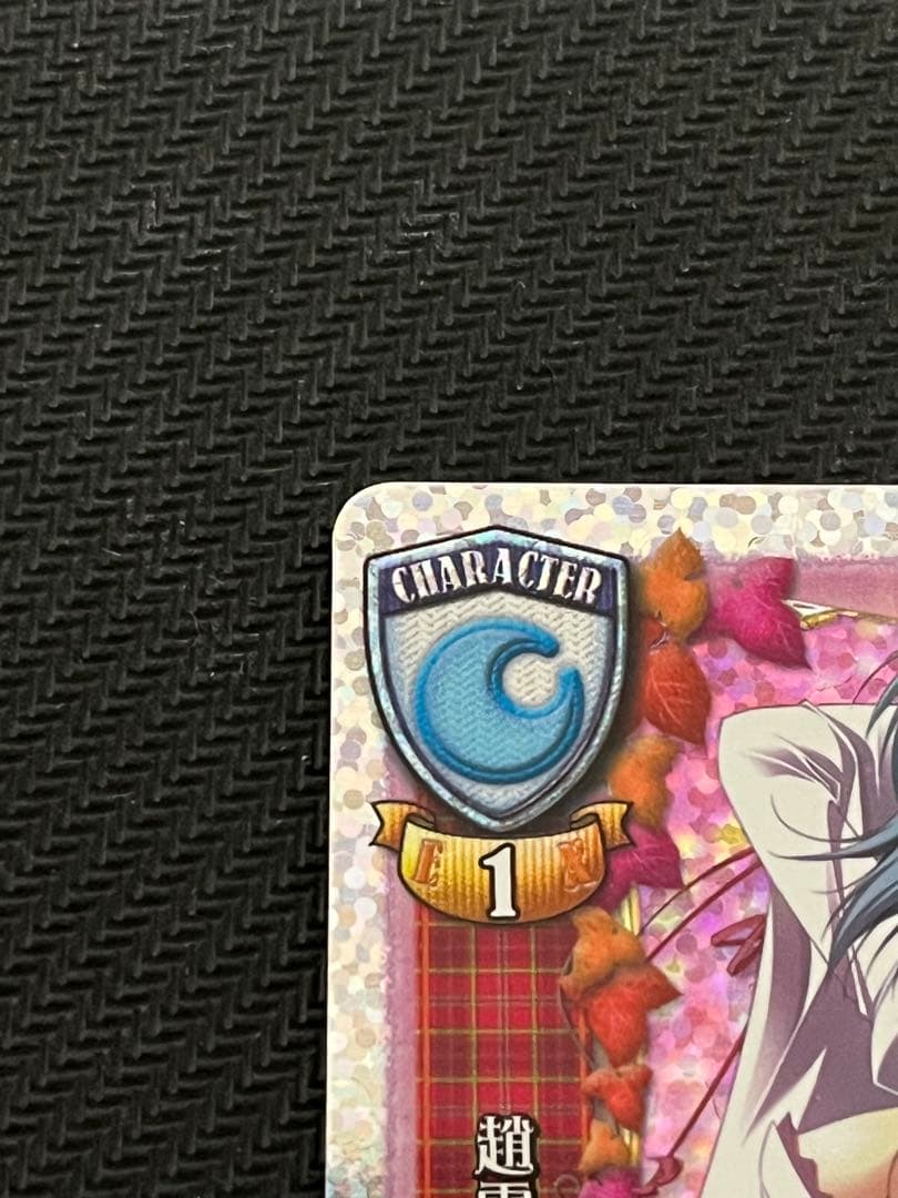 Lycee 趙雲・星 NP1 CH-2266A サイン