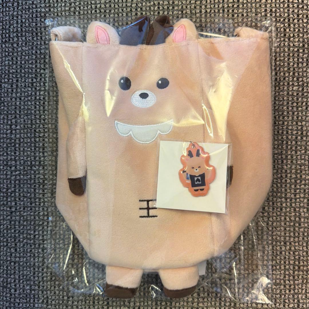 RIIZE 公式 日本限定 東京ドーム ファンライトバッグ ソンチャン