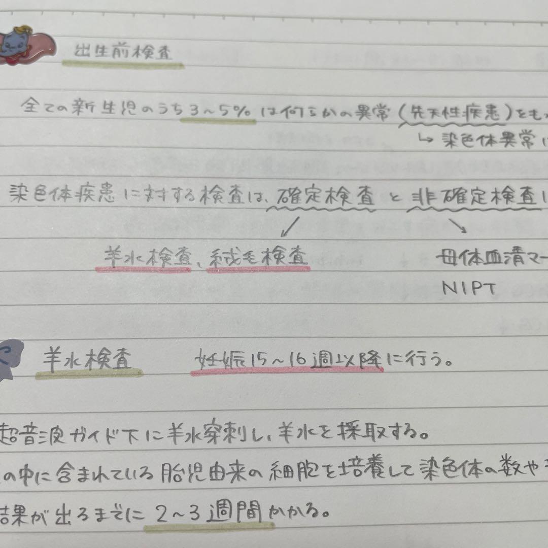 ひろちゃん様 専用ページ 産科勉強セット