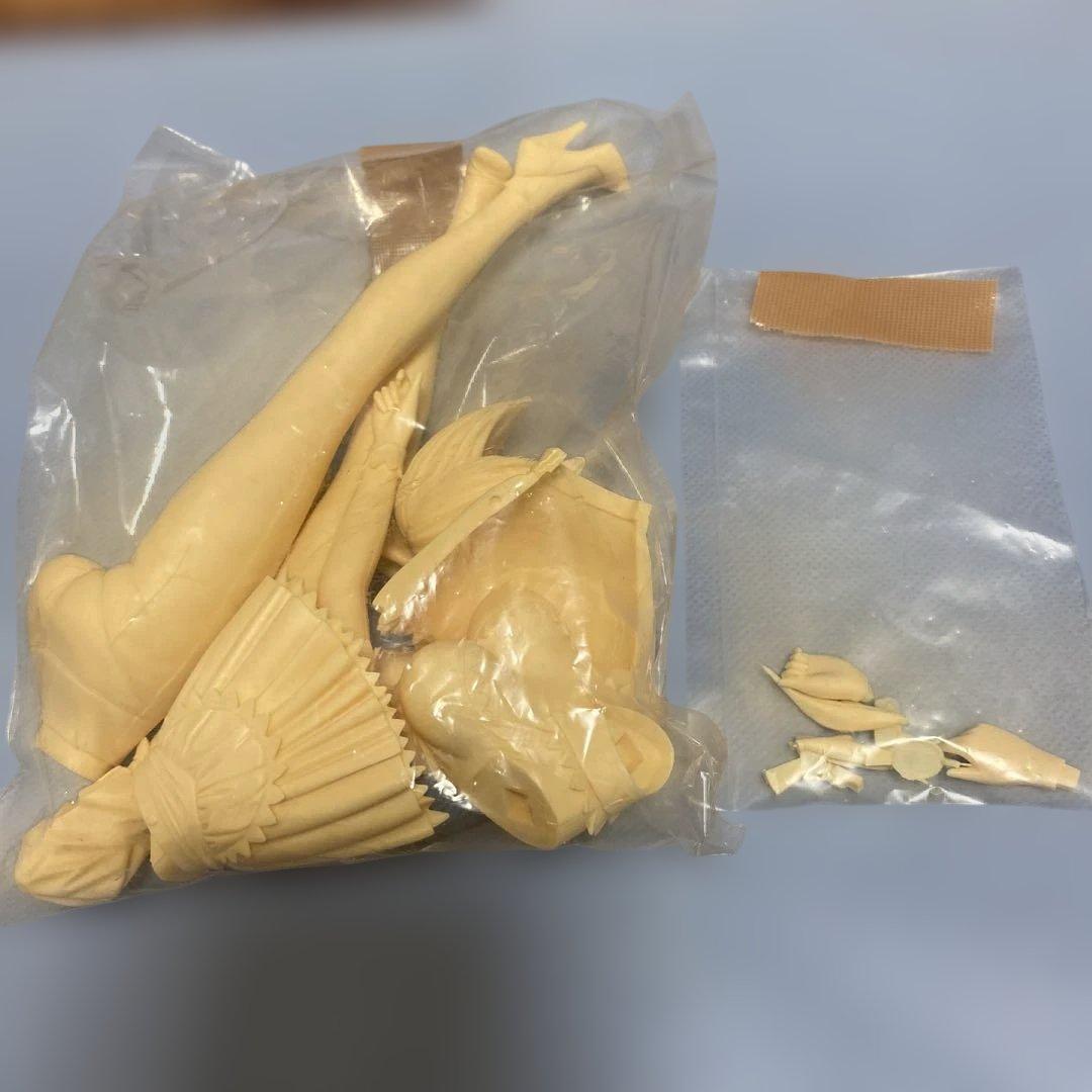 八木沢萌&もう1体　未塗装レジンキット　VOLKS 1/6