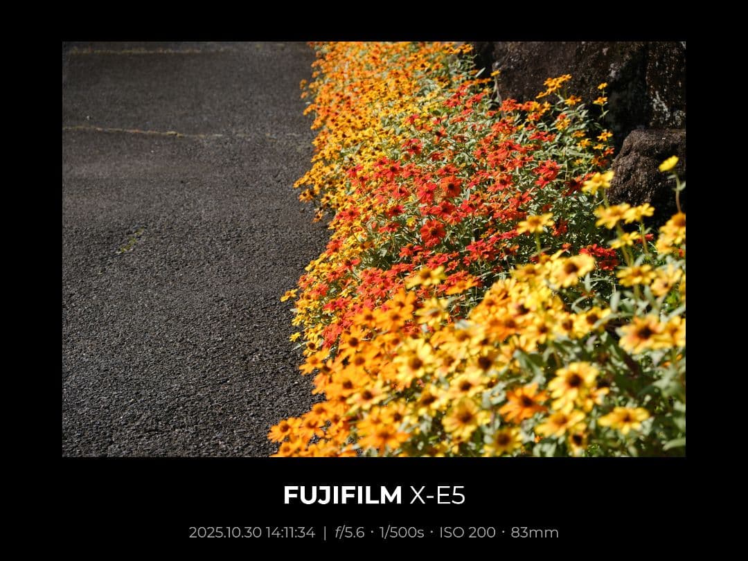 フジノンレンズ XF18-55mmF2.8-4 R LM OIS