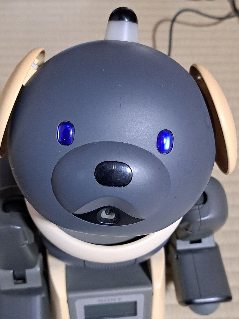 SONYアイボ 犬型ロボット ERS-312音声認識 直ぐ動く本体、付属品