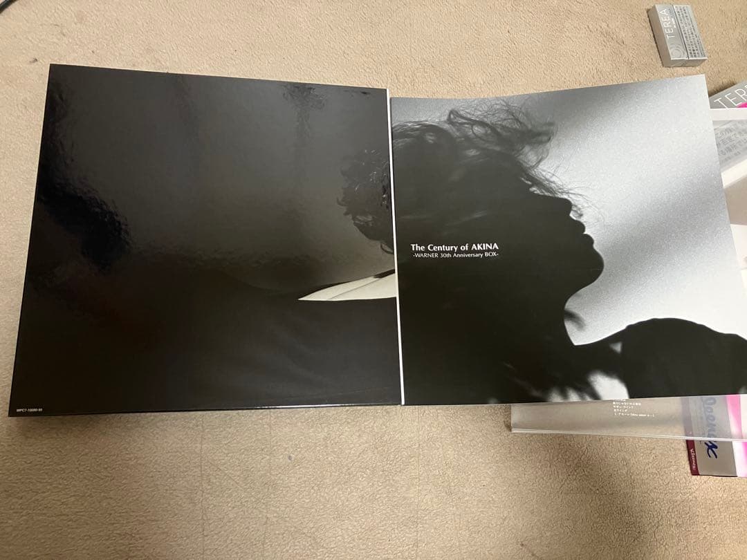 中森明菜 The Century of AKINA -Warner 30th