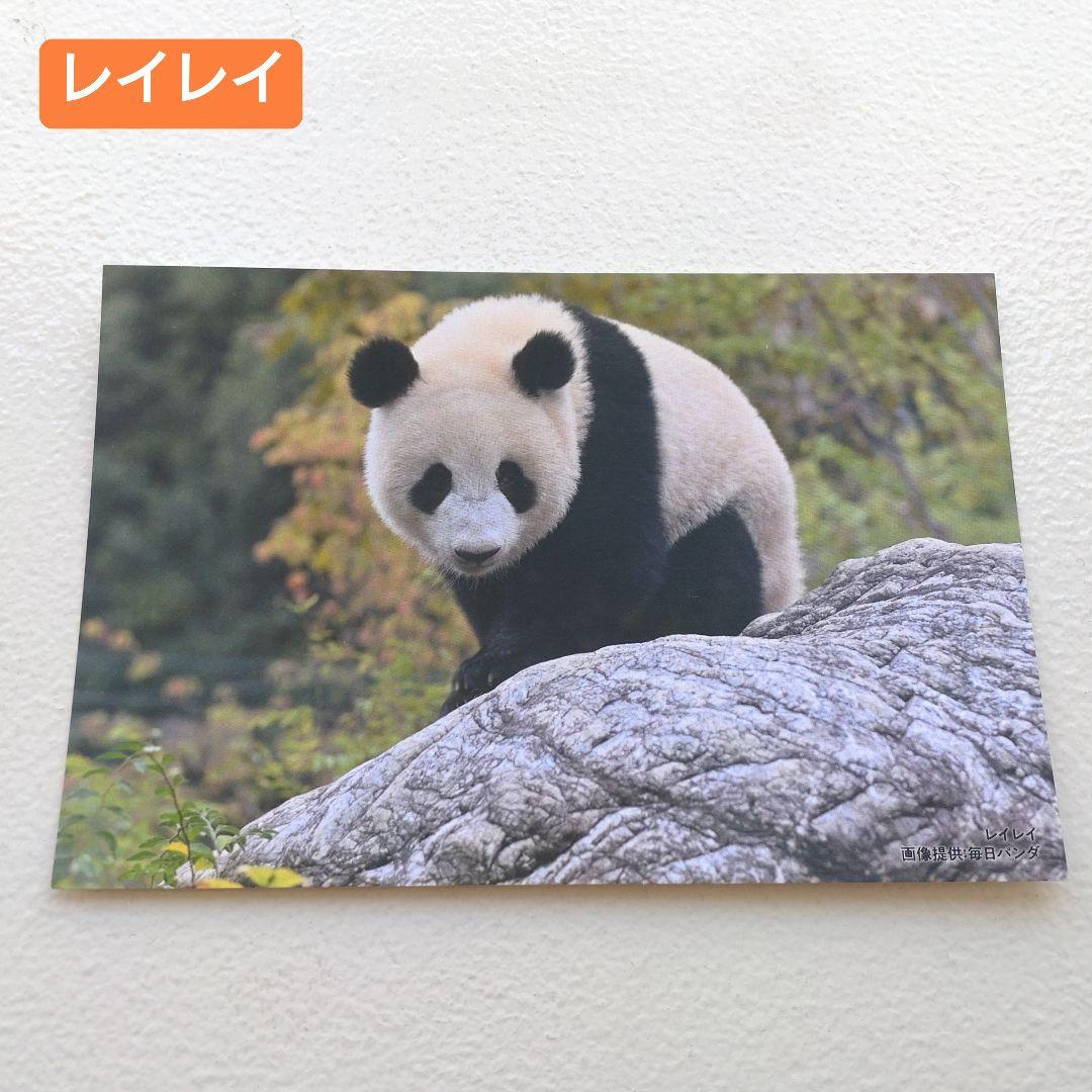 上野松坂屋 シャオシャオ レイレイ 毎日パンダ 双子の思い出ポスト