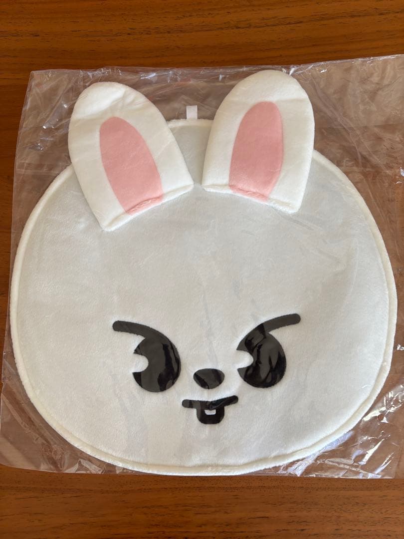 Stray Kids スキズ うちわケース リノ Leebit - メルカリ