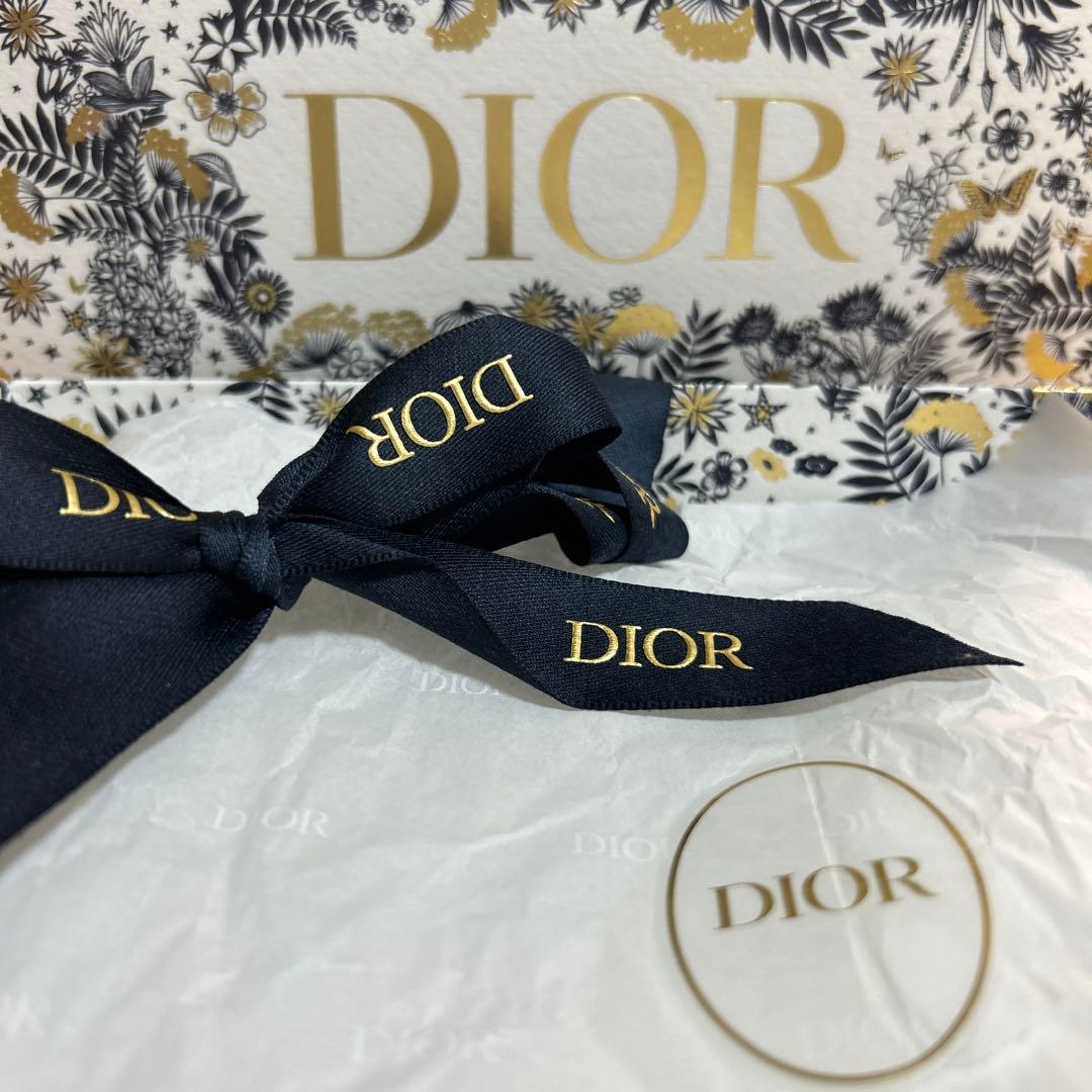 値下げ交渉お待ちしてます！コメント歓迎 様専用ディオール ホリデー