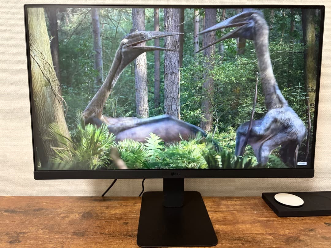 R*N様 LG 24U631A-B 23.8型 WQHD モニター USB-C対応 PCモニター LG Monitor 24U631A-B [23.8型 /WQHD(2560×1440