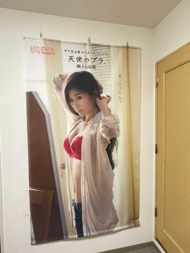 レア品】篠原涼子×天使のブラ タペストリー縦200㎝×横90㎝ - メルカリ