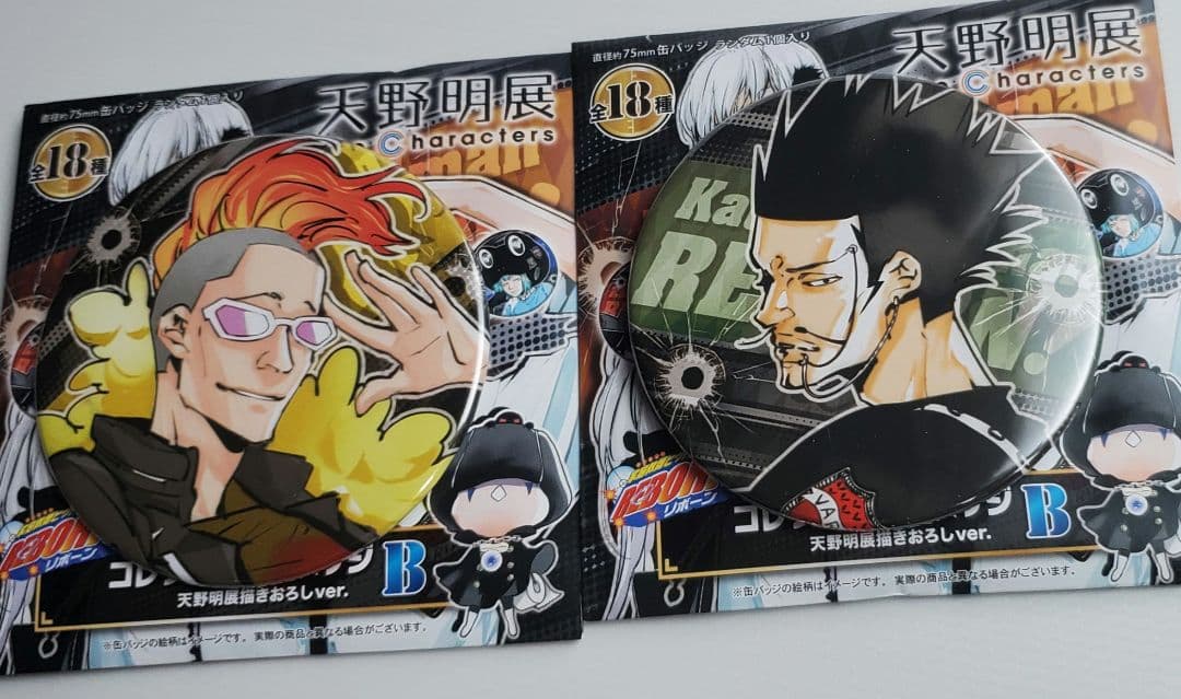 家庭教師ヒットマンREBORN！コレクション缶バッジ天野明展描きおろし