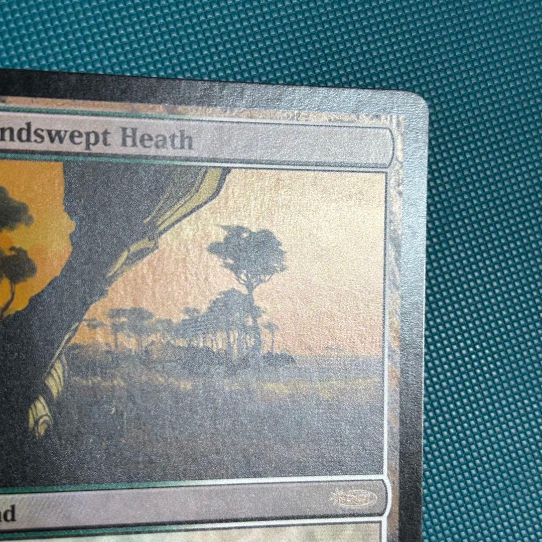 【ジャッジ褒賞Foil】《吹きさらしの荒野/Windswept Heath》英語