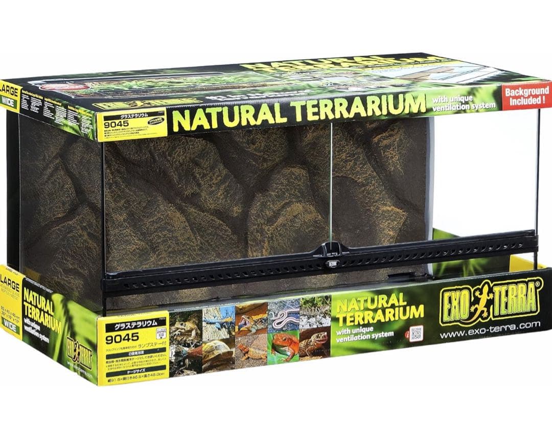 エキゾテラグラステラリウム9045【引き取り限定】