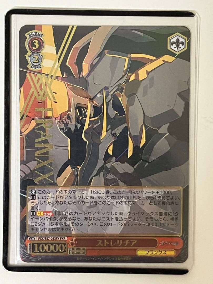 ストレリチアFXR ヴァイスシュヴァルツダーリン・イン・ザ・フランキス