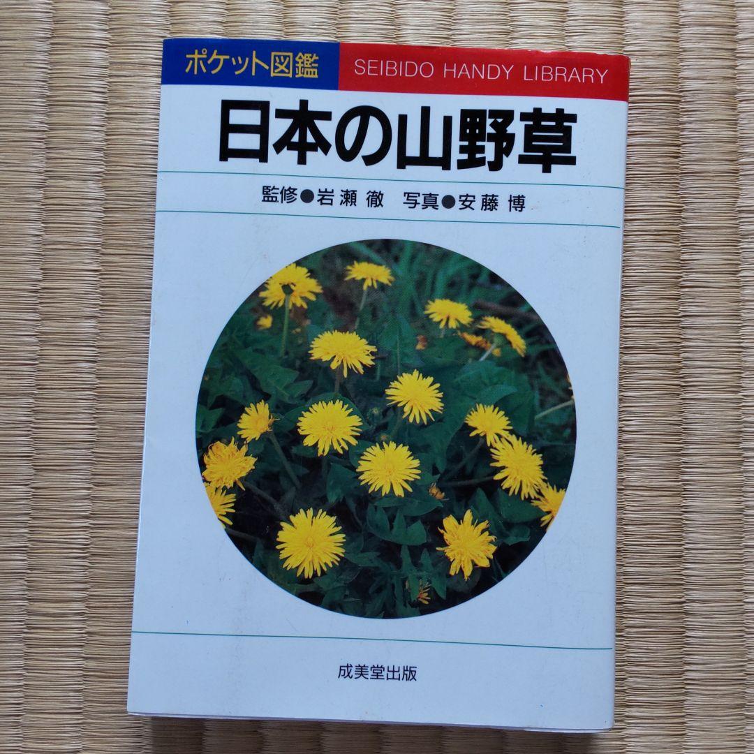 日本の山野草 : ポケット図鑑 日本の山野草 (ポケット図鑑) | 安藤 博 |本 | 通販 | Amazon