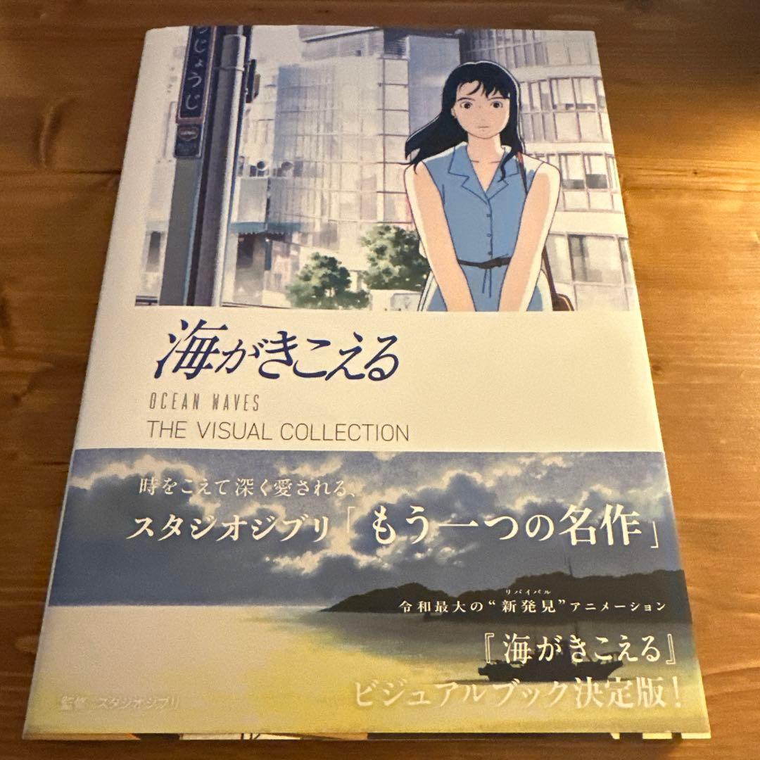 海がきこえる THE VISUAL COLLECTION 」 美品 - メルカリ