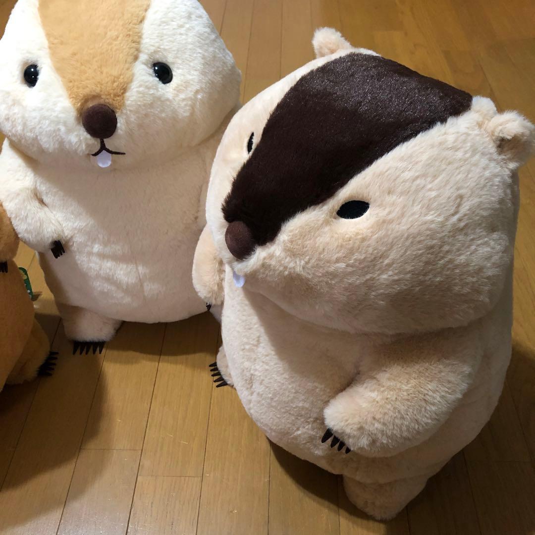 マーモットのもっとっと mottoto ウルトラBIG ぬいぐるみ - メルカリ