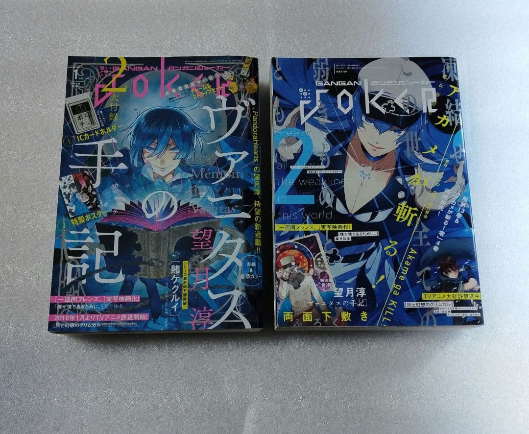 ガンガンjoker　2016年 1月号　2月号　ヴァニタスの手記 ガンガンjoker 2016年 1月号 2月号 ヴァニタスの手記 Amazon.co.jp: