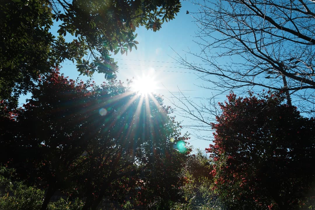 【運動会も旅行も】SEL24240 美品 箱付 10倍ズーム これ1本で完結