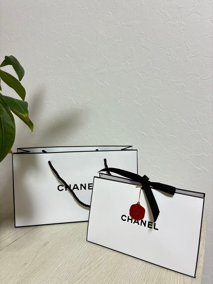 CHANEL 紙袋 大・小セット - メルカリ