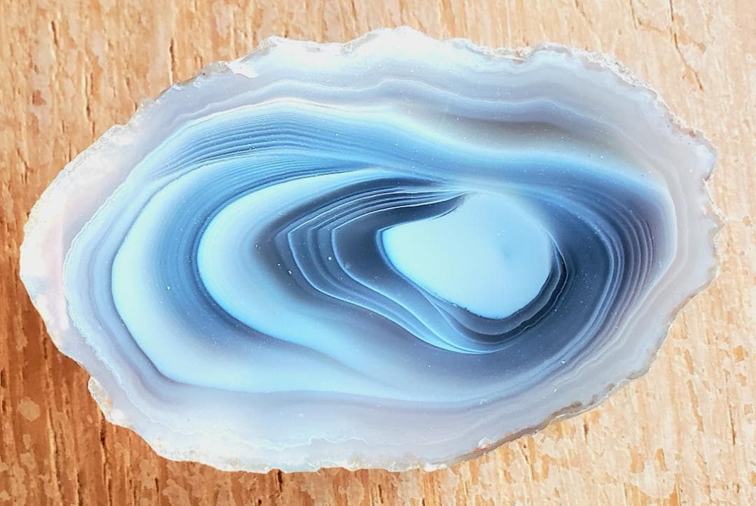 【コレクターズアイテム】ボツワナアゲート ボツワナアゲート コイン12×12mm 1連（約38m）｜天然石ビーズの卸問屋