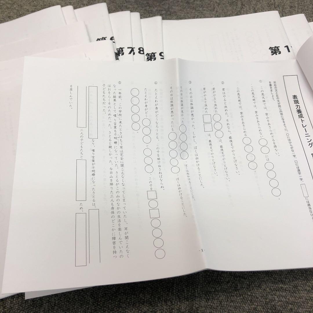 早稲田アカデミー 6年 公立中高一貫コース 土曜特講表現力養成講座 全