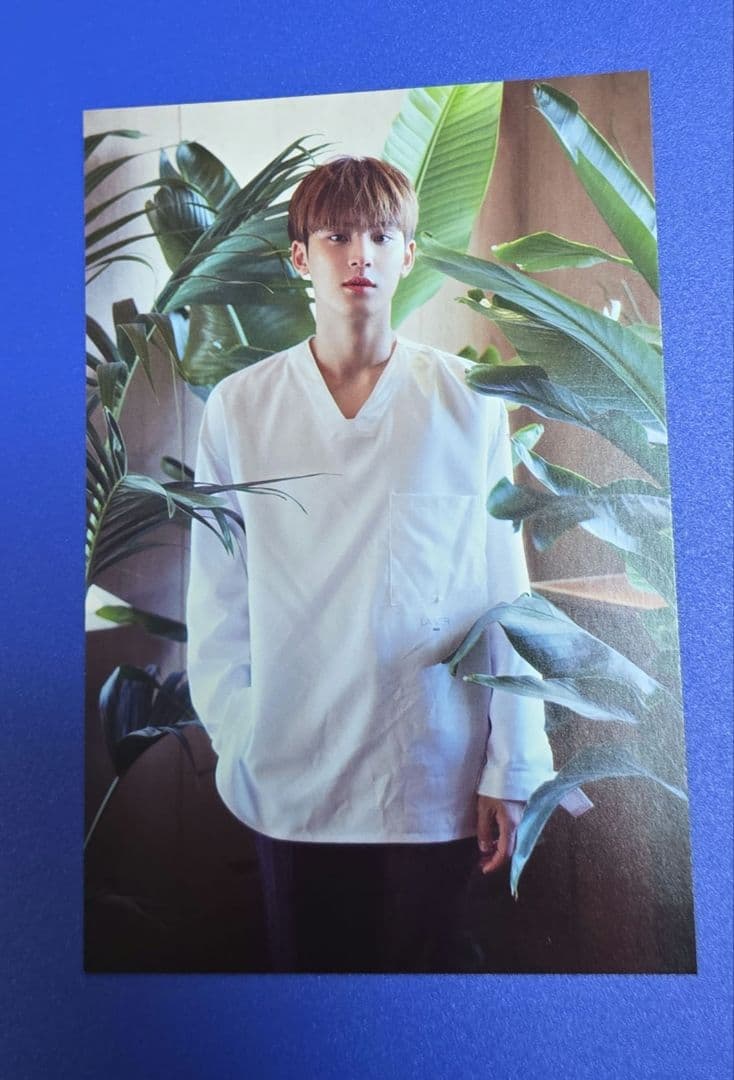 ミンギュ TSUTAYA 特典 ポストカード - メルカリ