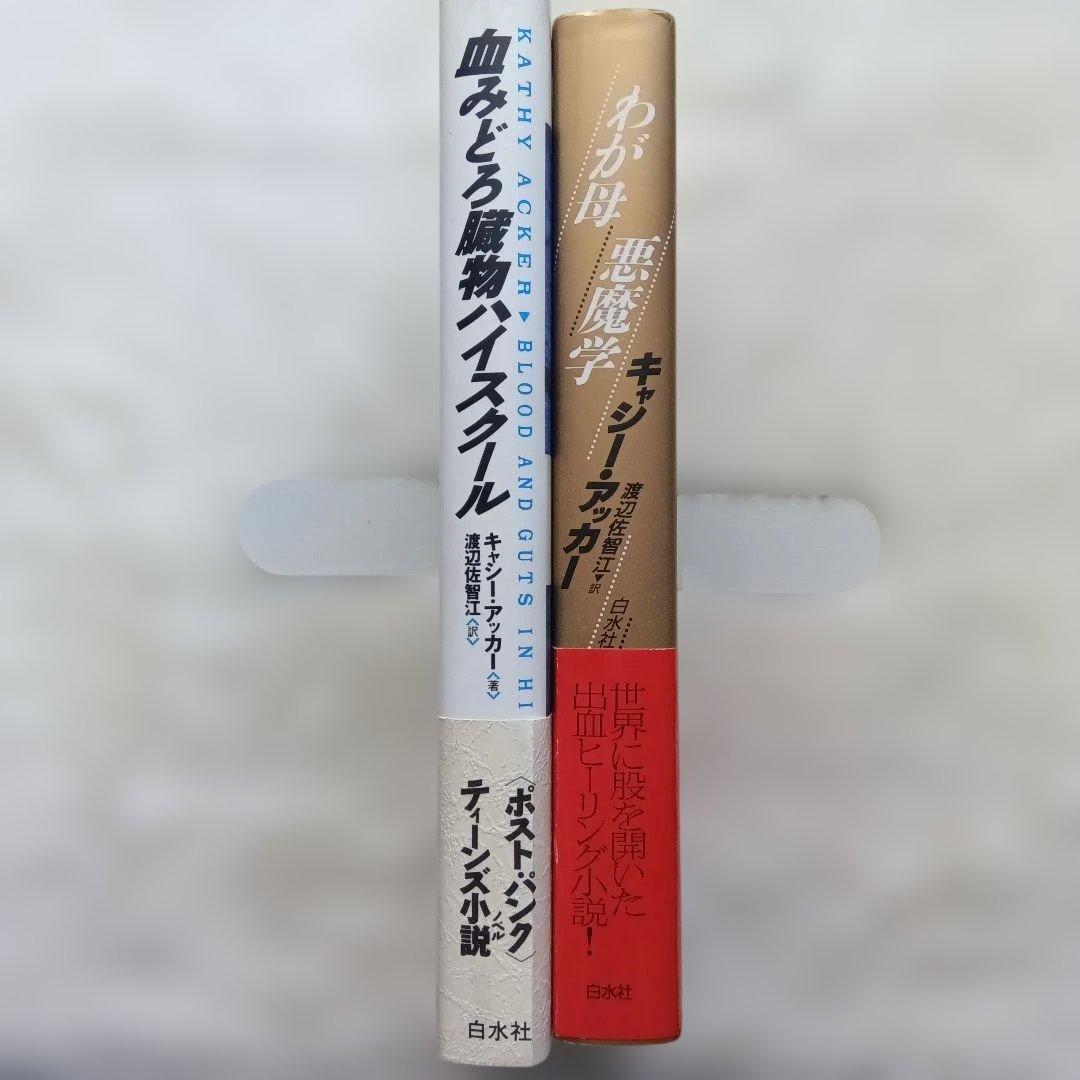 血みどろ臓物ハイスクール/わが母悪魔学 2冊セット　キャシー・アッカーまとめ売り