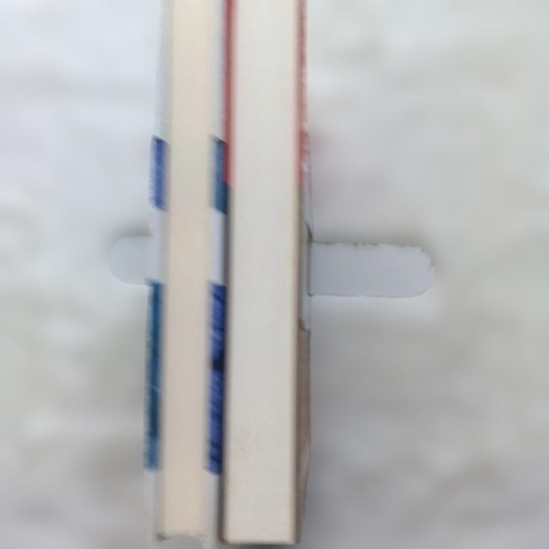 血みどろ臓物ハイスクール/わが母悪魔学 2冊セット　キャシー・アッカーまとめ売り