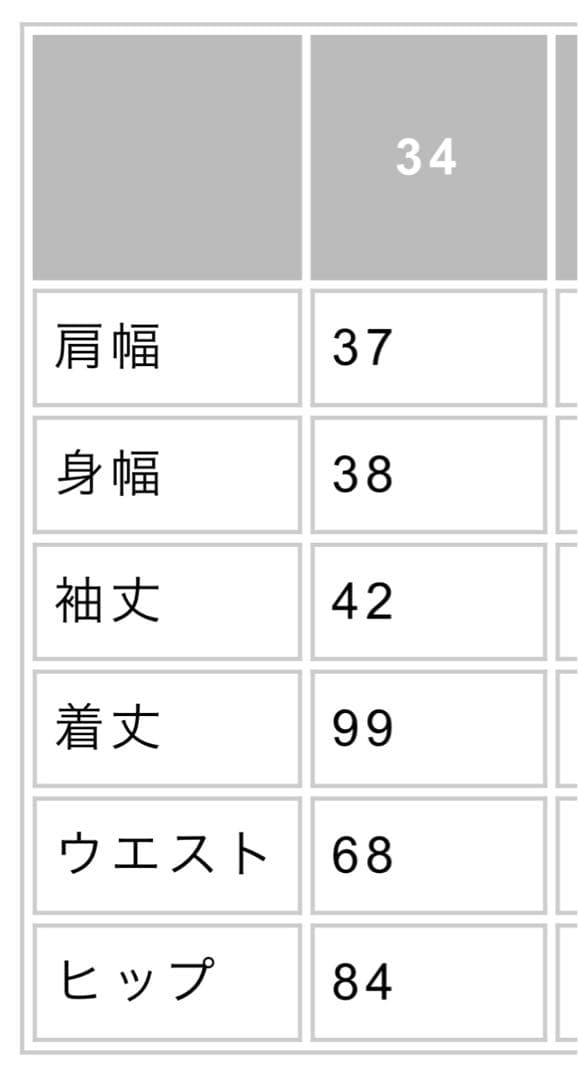 ◇未使用美品◇レジィーナロマンティコ ネイビーパフスリーブ