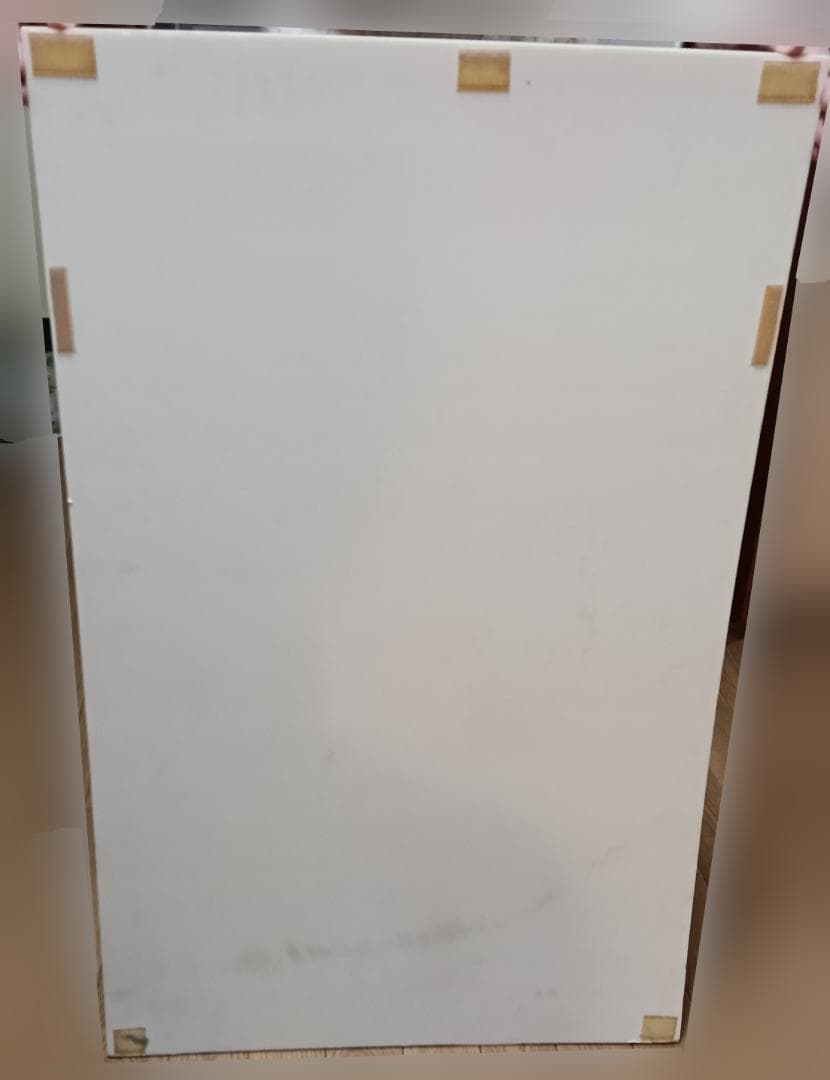 田中麗奈　フジカラー店頭パネル　56cm×90cm×0.8cm