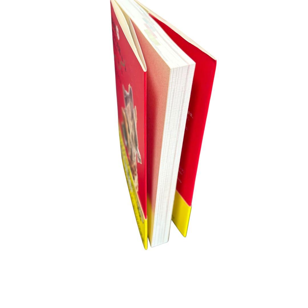 ケニア・タンザニア旅ガイド まるまるサファリの本 ver.3 武田ちょっこ