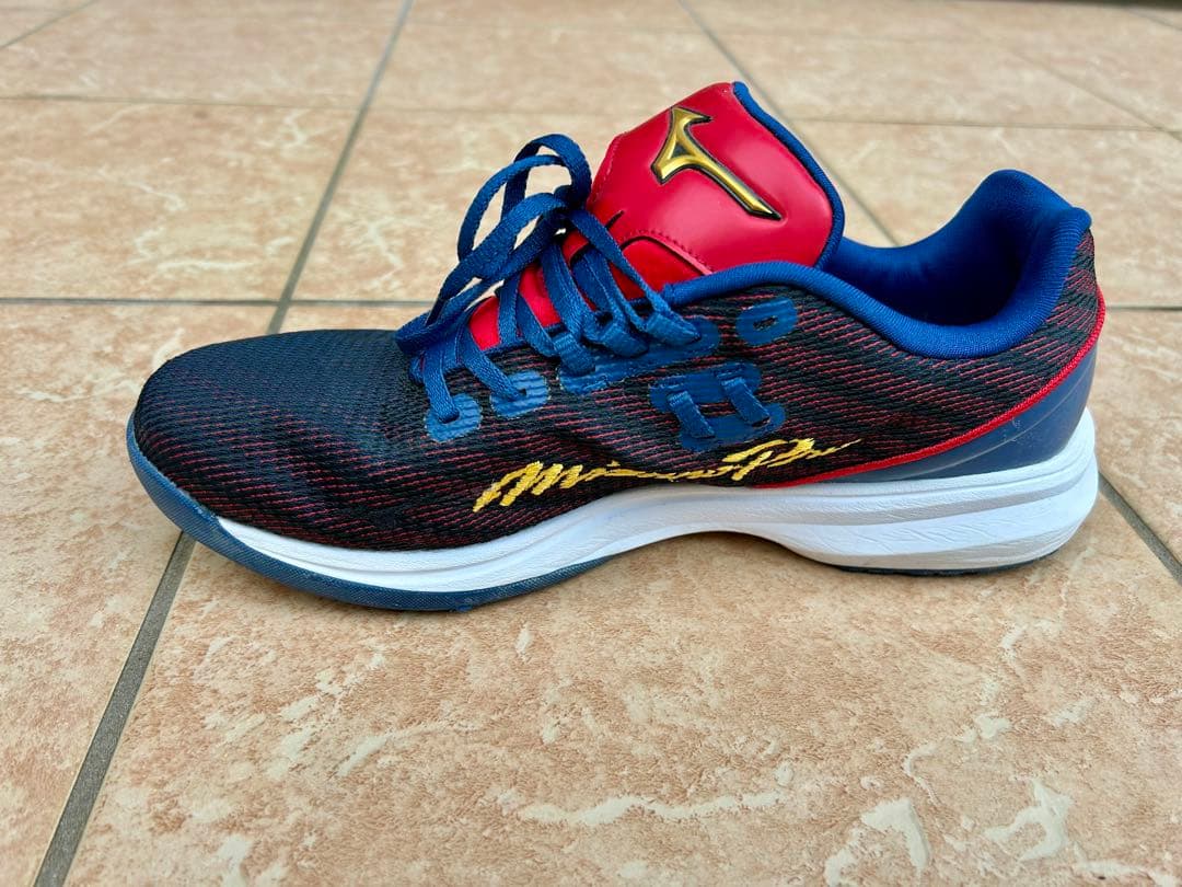 値下げ】ミズノプロ ウェーブライトレボランプロ WBC限定色25.5