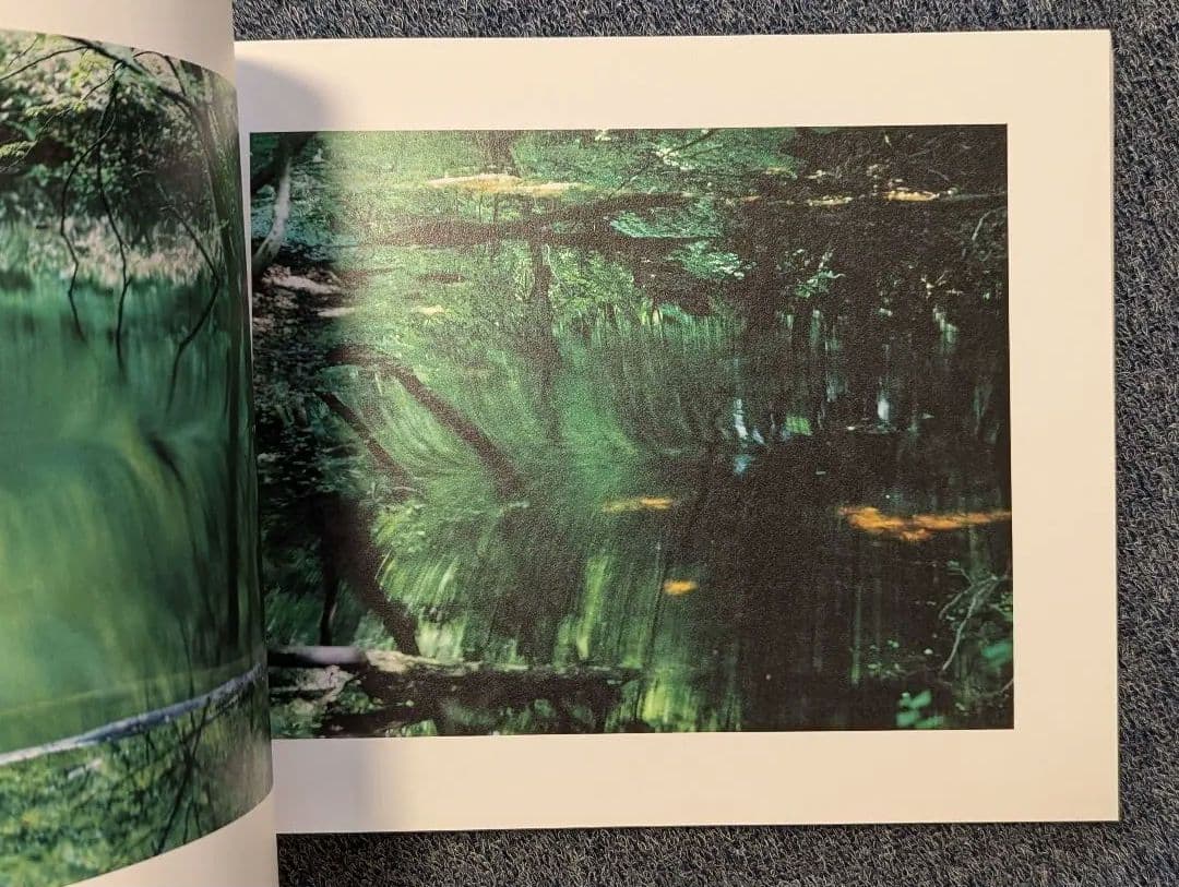 写真と絵画−セザンヌより 柴田敏雄と鈴木理策』展 図録 - メルカリ