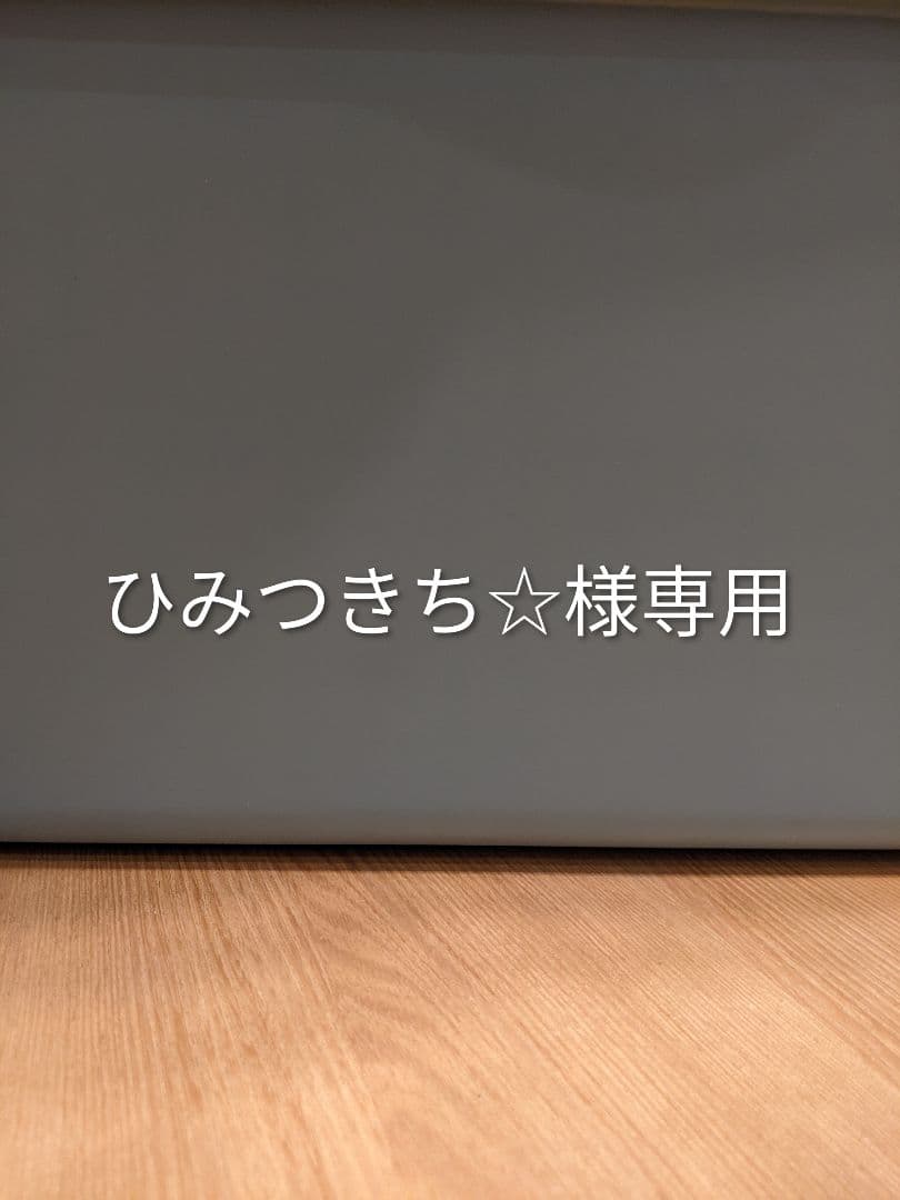 6体 ひみつきち☆様専用です 手乗りわんこ トイプードル