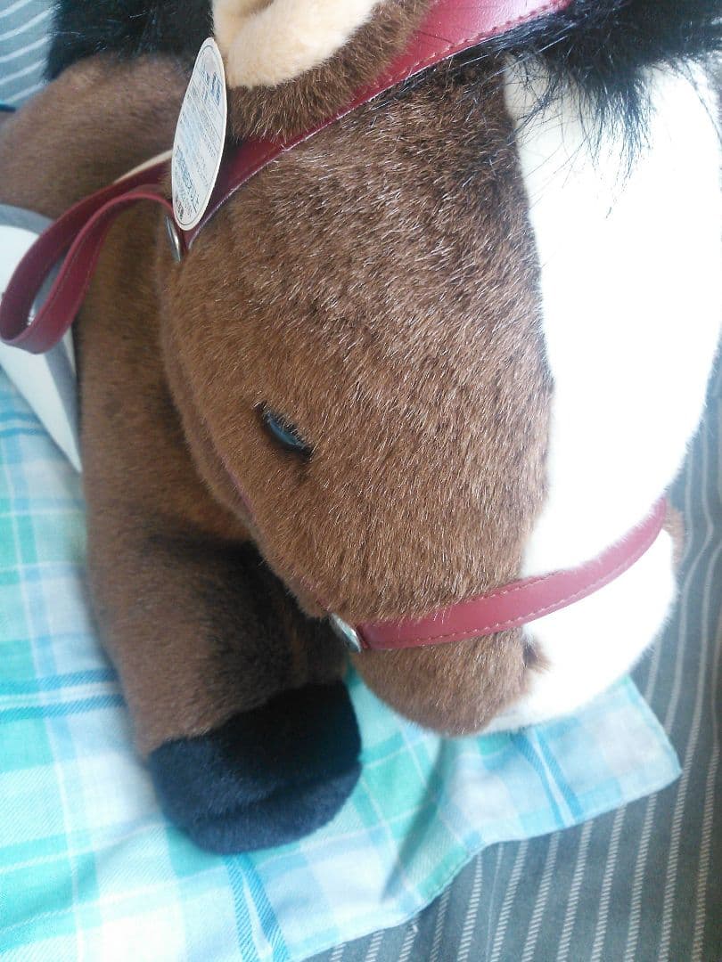 完全レア】競馬 中山馬主協会 オルフェーヴル 池添騎手 サイン入り