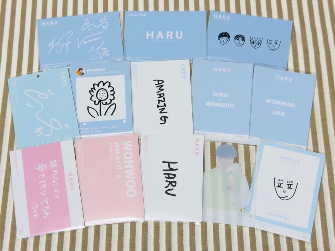 SEVENTEEN ウォヌ HARU トレカ コンプ 13枚セット - メルカリ