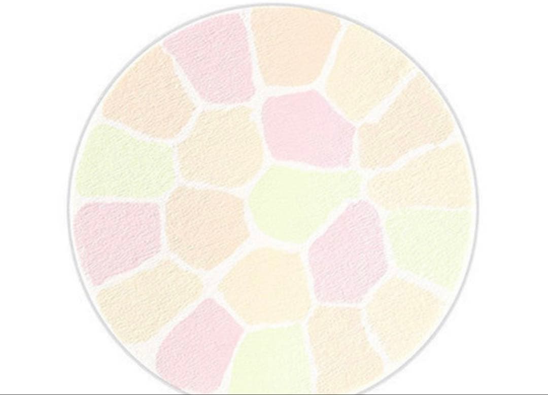 新品未使用 ラプードル 6番 大きいサイズ 詰め替え