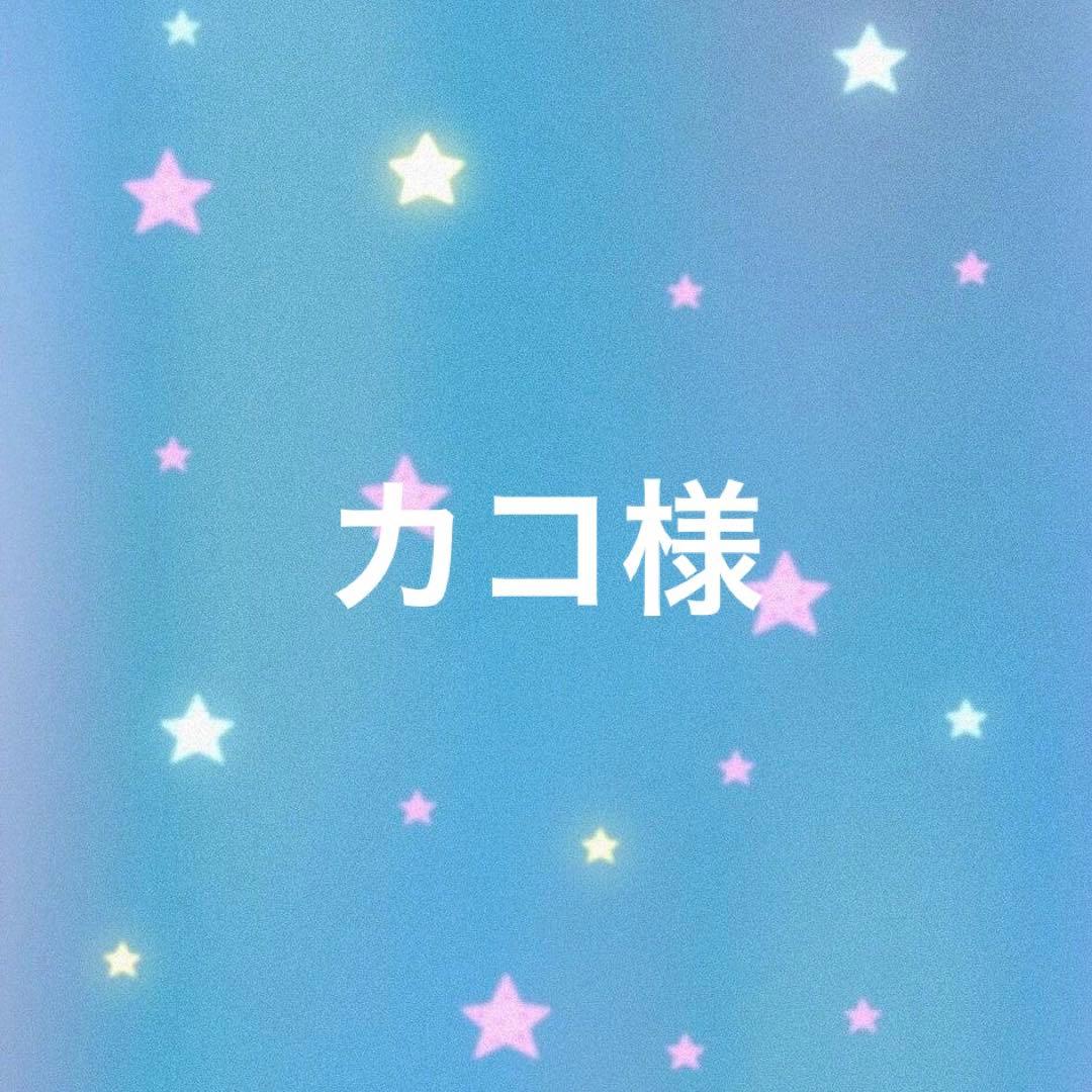 ボード トリックスター / ZX-10RR(21) 政府認証スリップオンマフラーIKAZUCHI