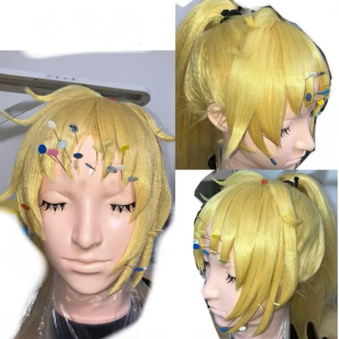 忍たま乱太郎　斉藤タカ丸　コスプレ　ウィッグ 忍たま乱太郎 忍たま 斉藤タカ丸 コスプレ ウィッグ - メルカリ