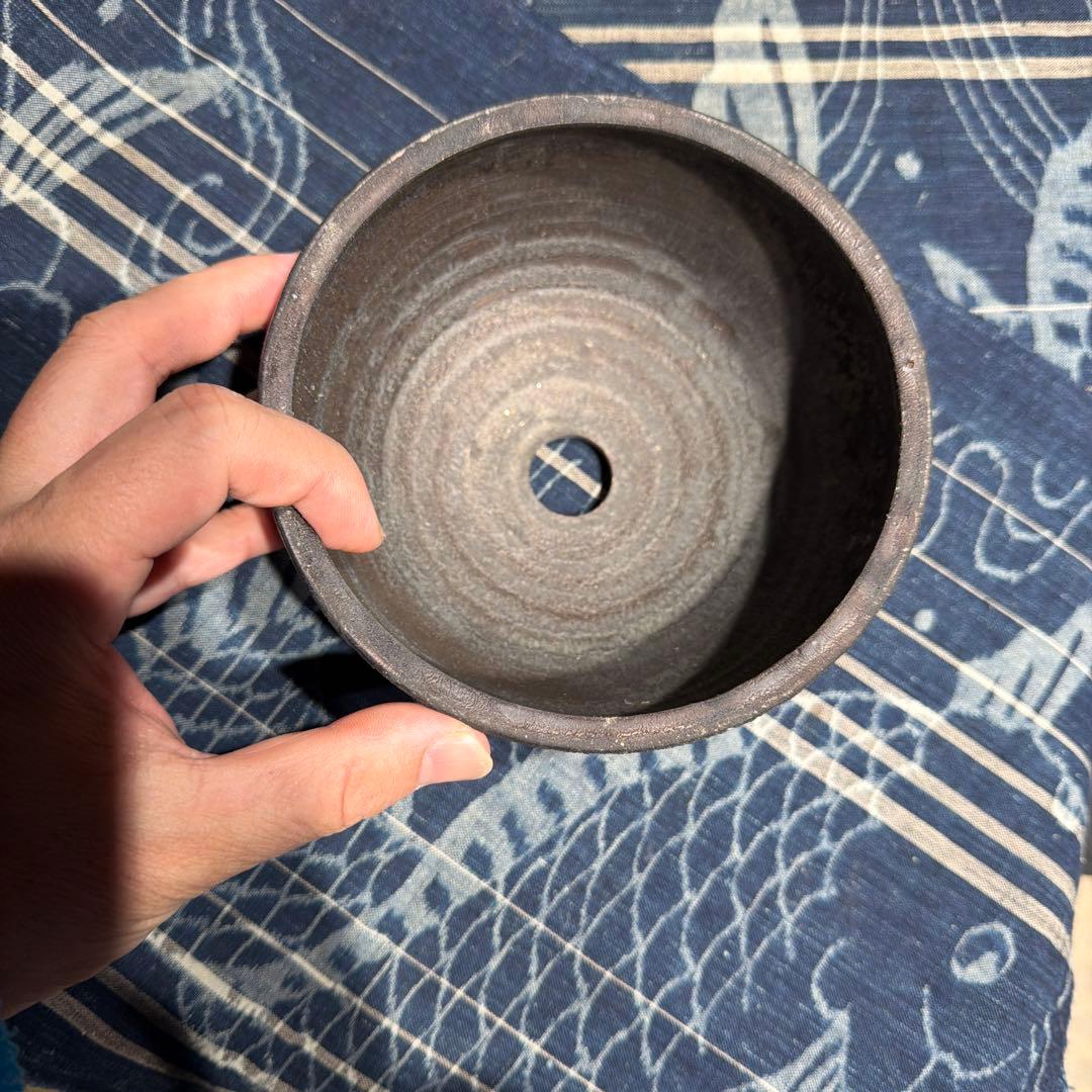 細川 政己 spicy gem コラボ鉢 yellgreen 希少 中古 - メルカリ