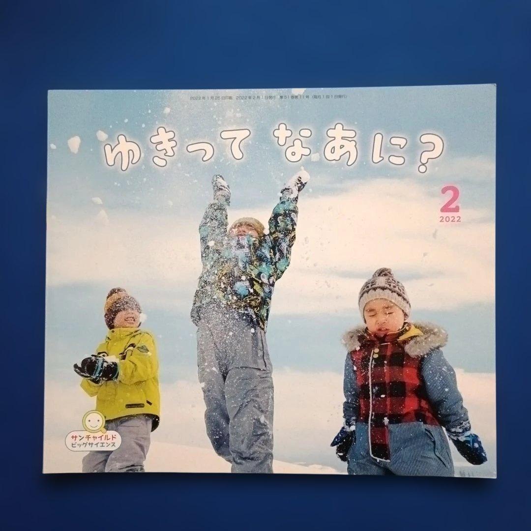 ビッグサイエンス　キンダーブックしぜん　ゆき　ゆきってなあに？