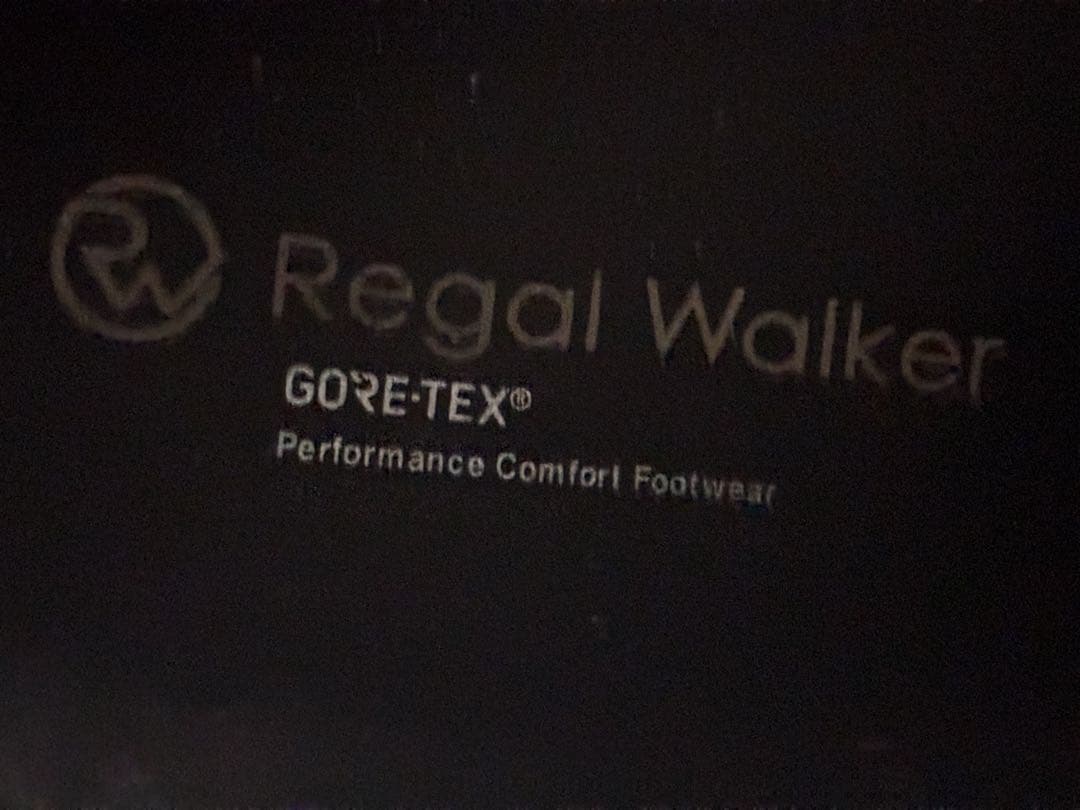 【軽量GORE-TEX】REGAL WALKER サイドゴアブーツ 25.5cm
