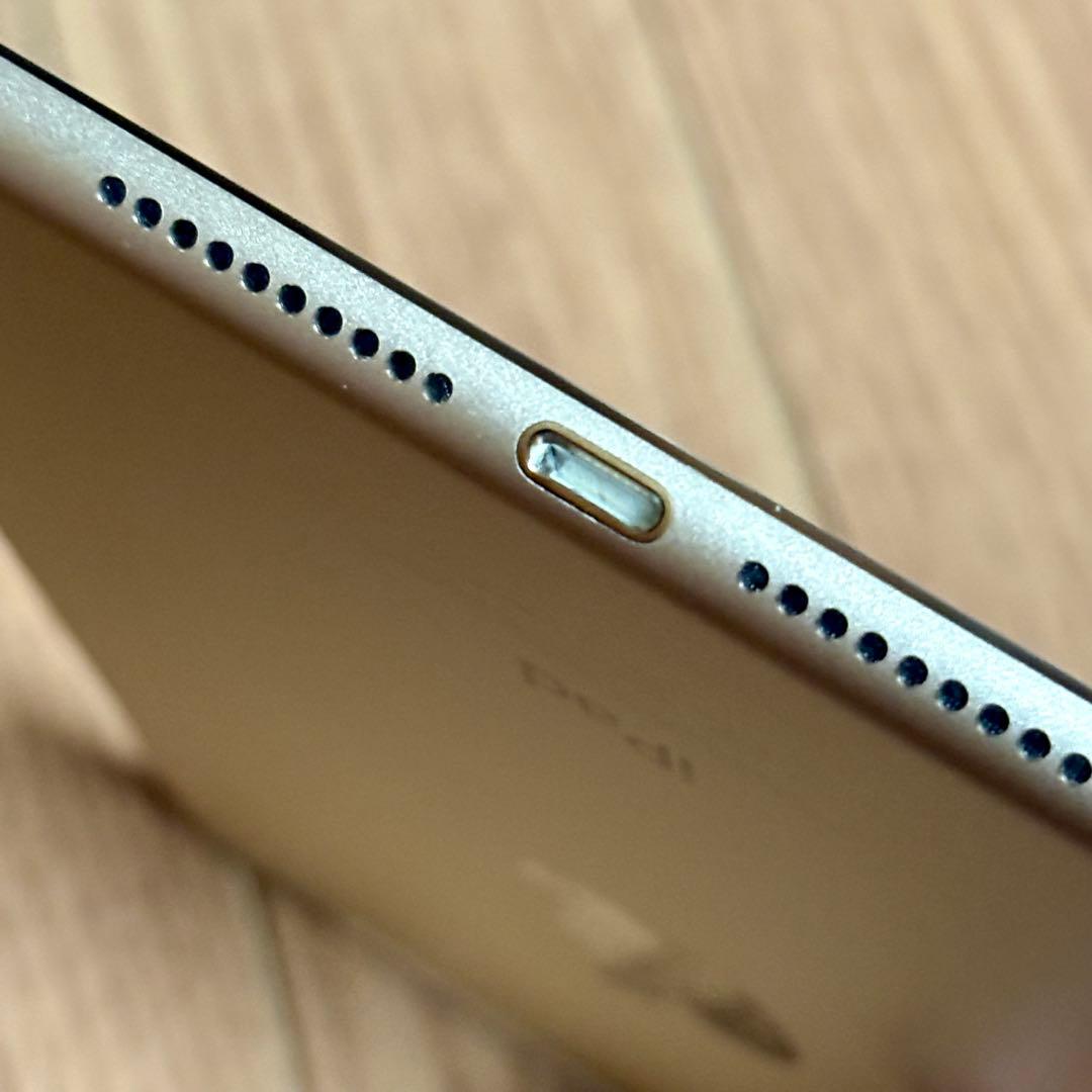 iPad mini 第4世代 バッテリー最大容量96% Cellular