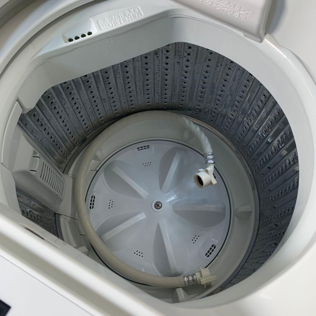 【美品級】2024年製 ヤマダ電機 洗濯機 YWM-T55LW 5.5kg